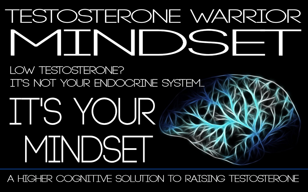 Testosterone Warrior Mindset